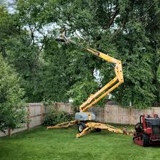 Best Arborist Consultation Services  in Ashaway, RI