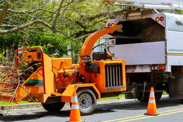 Best Hazardous Tree Removal  in Ashaway, RI